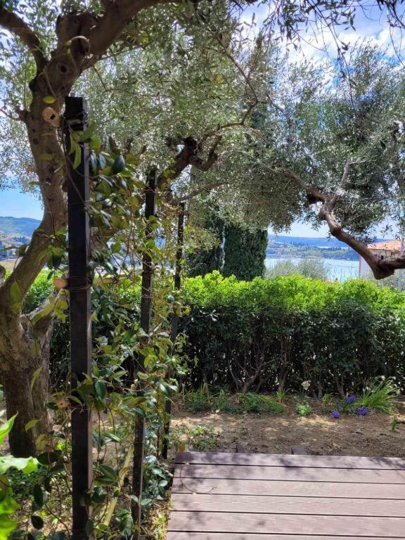 Izabela Apartment Portorož Exteriér fotografie